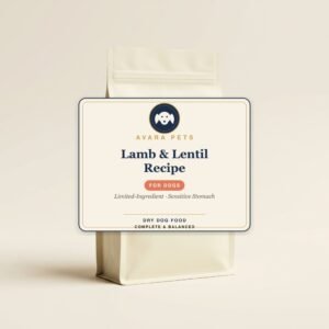 lamb lentil recipe